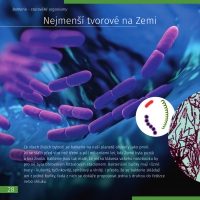 Neviditeľný svet. Vzdelávacie publikácie
