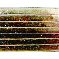 Mikroskop DeltaOptical BioLight 300 40x-400x + Kamera DLT-Cam Basic 2 MP