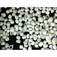 Mikroskop DeltaOptical Biolight 100 Biely 40x-400x
