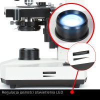 Mikroskop DeltaOptical BioStage II 40x-1000x