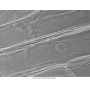 Mikroskop DeltaOptical Genetic Pro Mono 40x-1000x + batérie