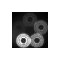 Umelá hviezda Hubble Optics 5-star Artificial Stars